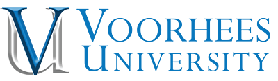 VU 3d horizontal logo